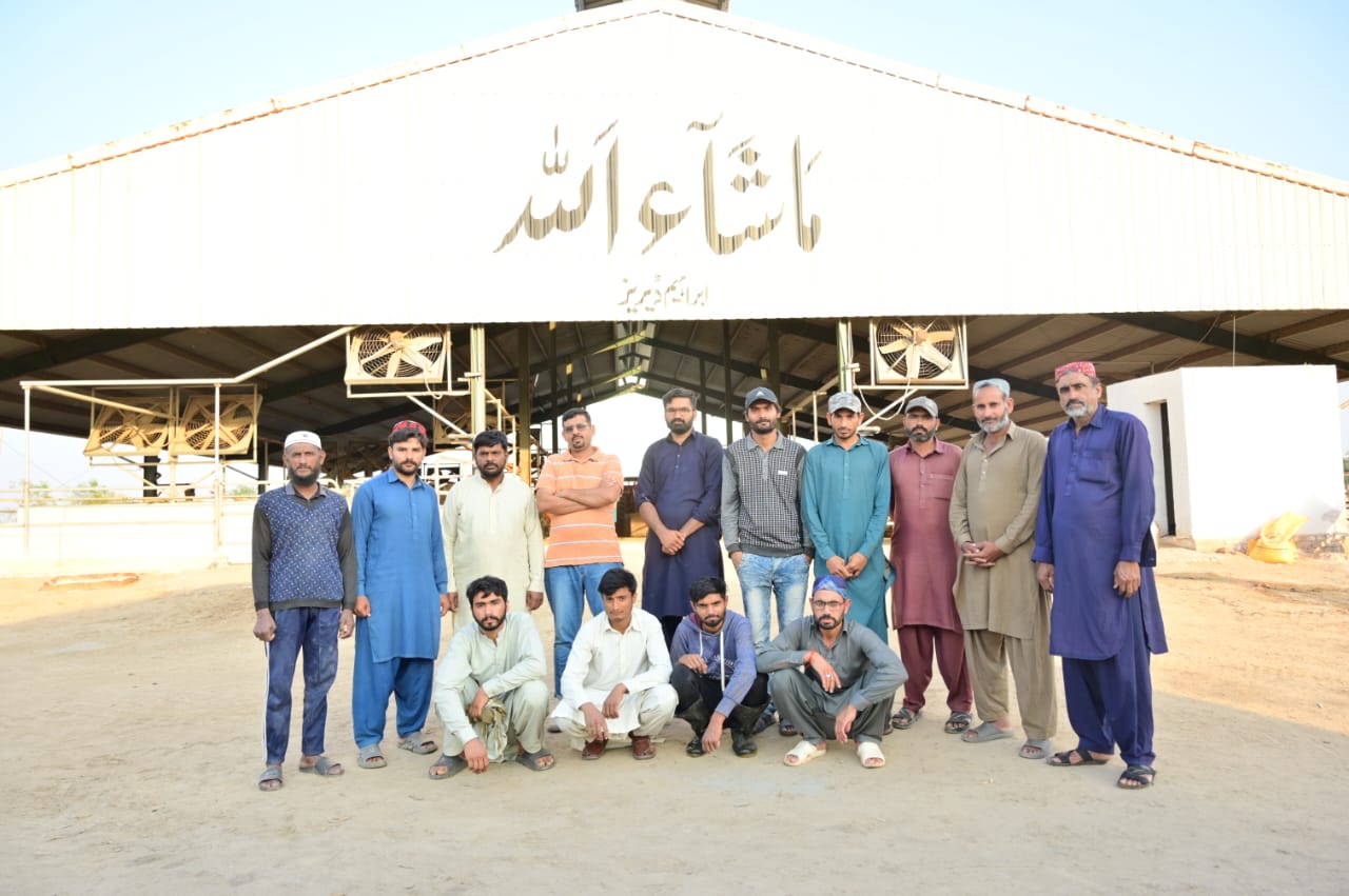 Dairy farm with cows